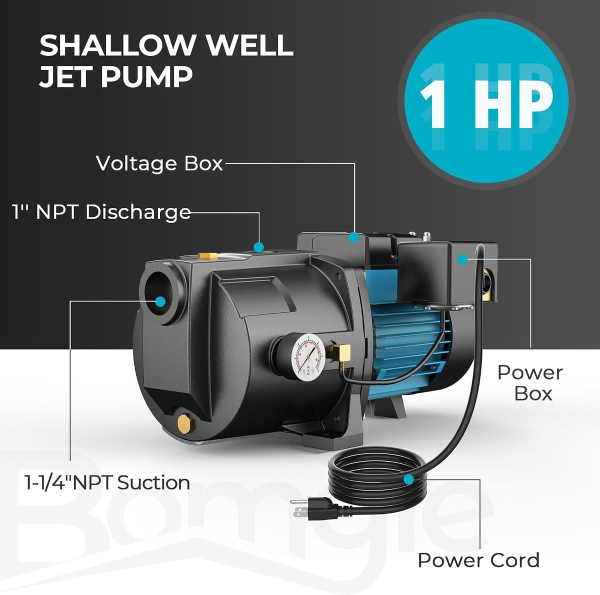 LEO Shallow/Deep Well Jet Pump