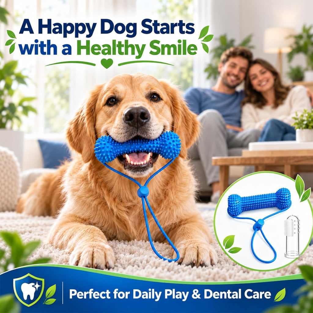 Dual-Action Canine Dental Prop,Dog Teeth Cleaning Chew Toys,Equipped with Mini Finger Toothbrush(2Pcs),Small Dog Oral