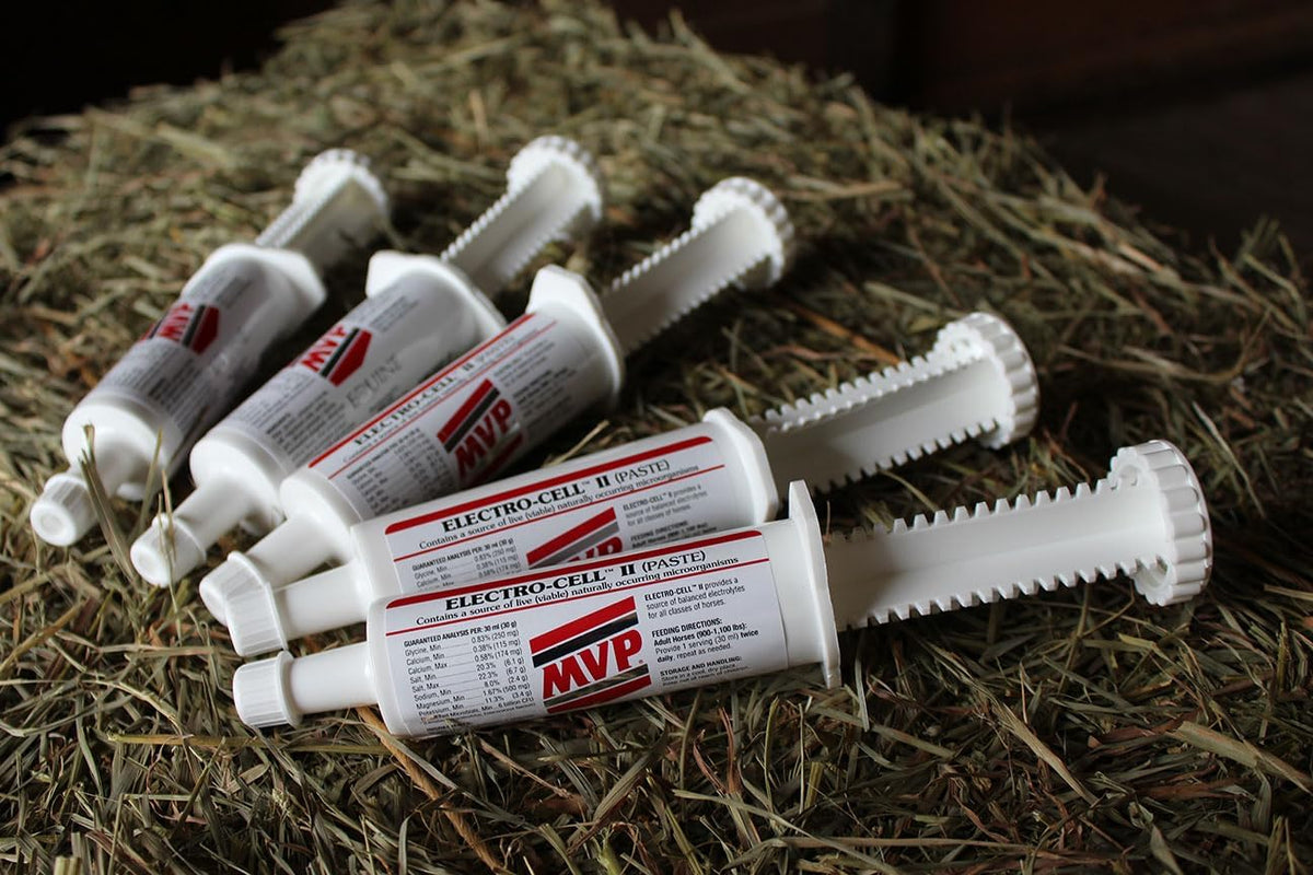 Electro-Cell II Electrolyte Paste with Probiotics for Horses