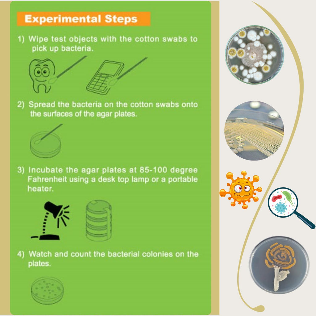 Bacteria Science Kit (IV) (Gift Pack): Prepoured LB-Agar Plates and Cotton Swabs. Exclusive Free Science Fair Project