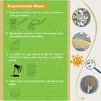Bacteria Science Kit (IV) (Gift Pack): Prepoured LB-Agar Plates and Cotton Swabs. Exclusive Free Science Fair Project