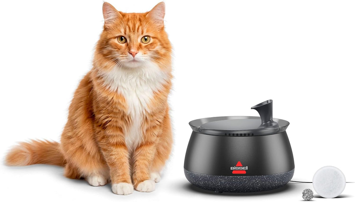 HydrateWell Cat Water Fountain, 91oz, 4408