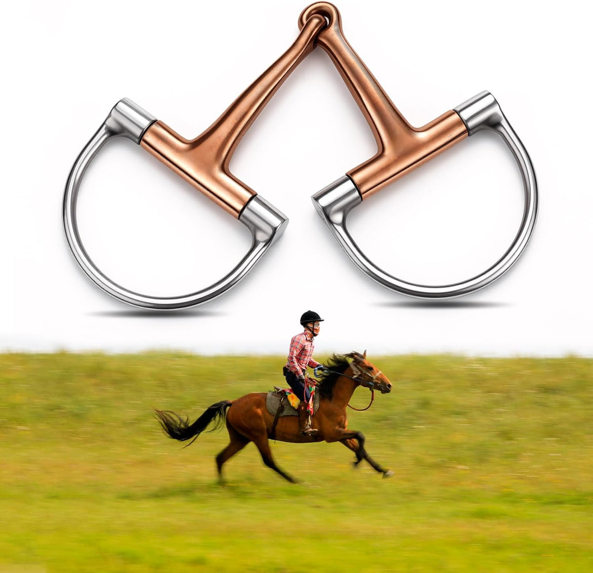 Stainless Steel Ring O & d Snaffle Bit for Horses