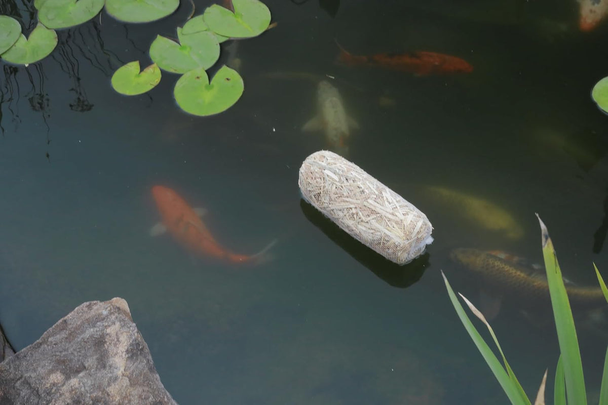 Clear-Water Barley Straw Pond Treatment, 2-Pack, Treats upto 2000 Gallons, 1000 Gallons per Bale