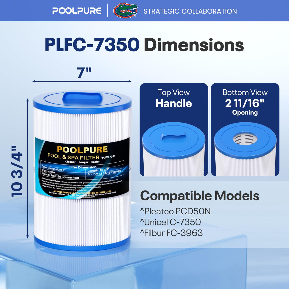 C-7350 SPA Filter Replaces Caldera 50 1PACK