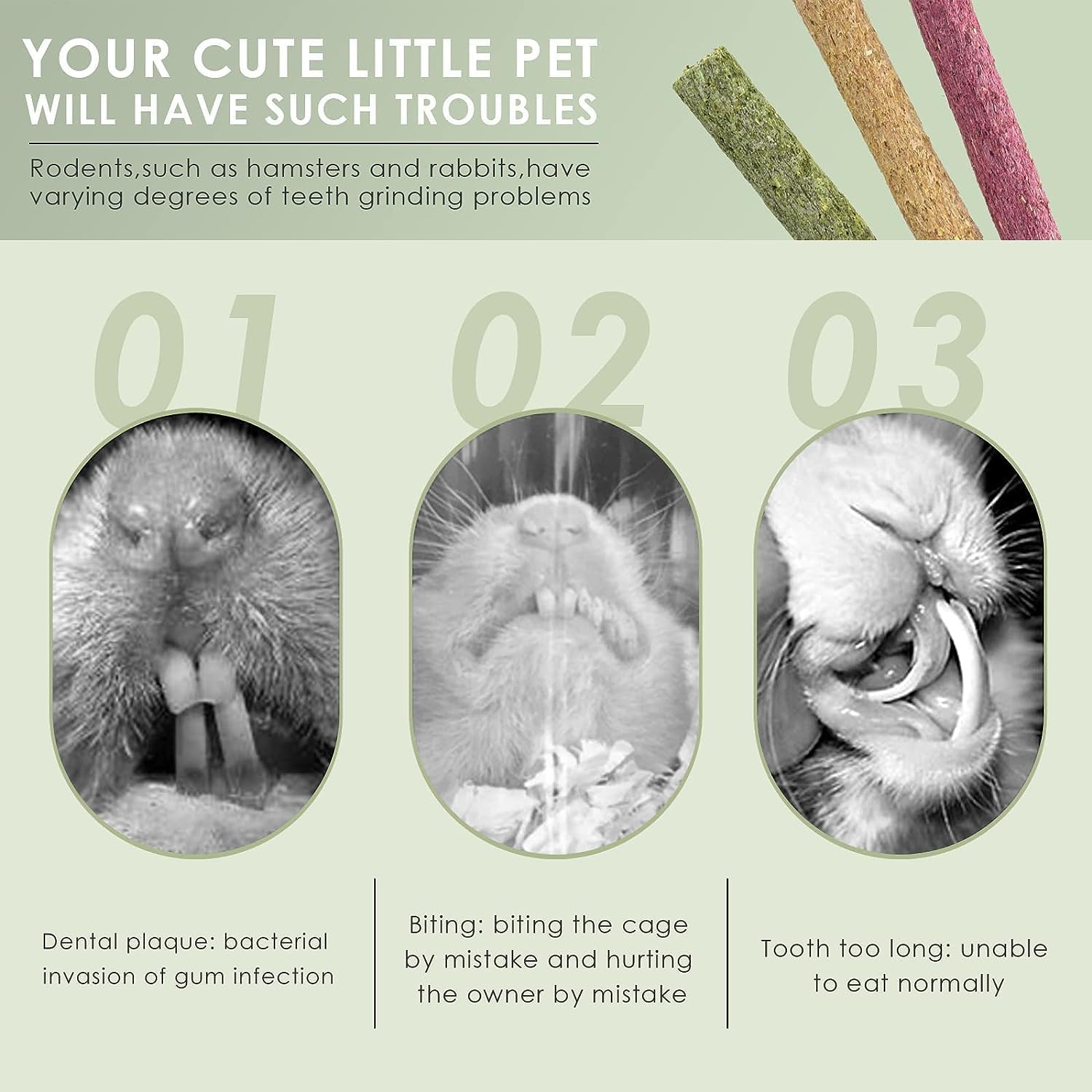 Timothy Hay Sticks,Rabbit Chew Toys for Teeth Natural Molar Sticks Rabbits Treats for Bunnies, Chinchilla Guinea