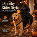 Light-Up Headless Horseman Pet Costume, Pumpkin Rider Harness (A1PC,Small)