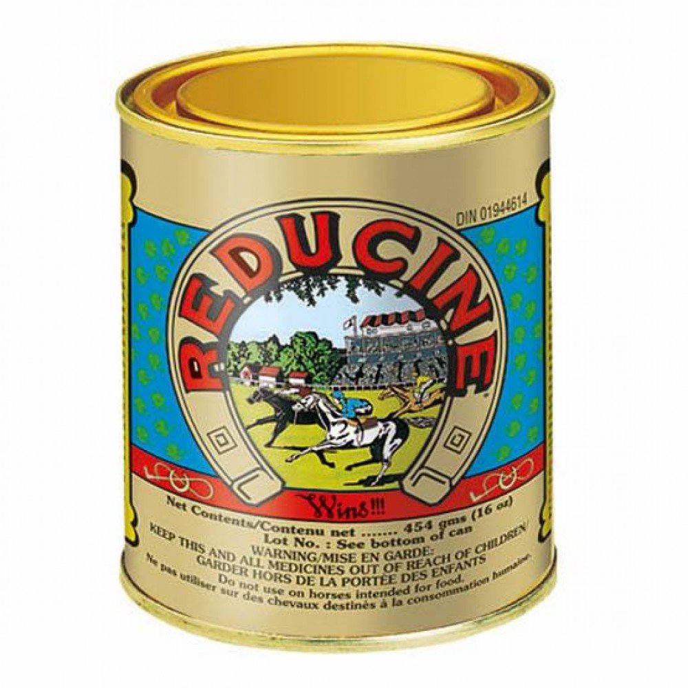 Reducine Original Absorbent, 16 oz