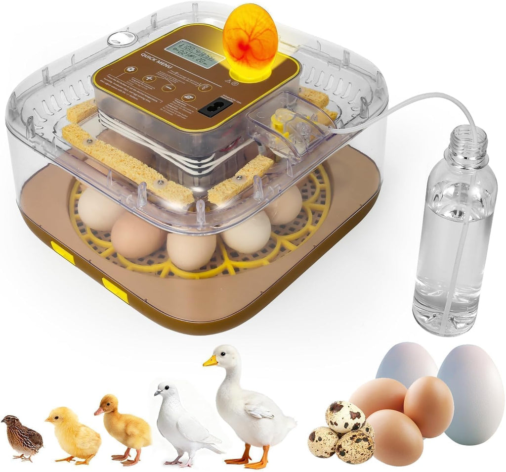 Series IV - 12-Egg Fully Automatic Incubator, Low Maintenance, Sensor-Based Precise Humidity & Temp Control
