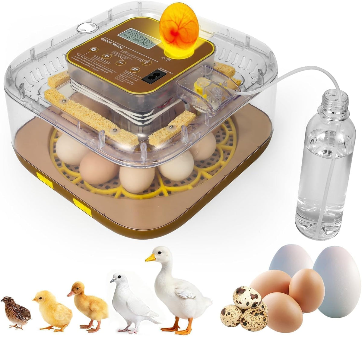 Series IV - 12-Egg Fully Automatic Incubator, Low Maintenance, Sensor-Based Precise Humidity & Temp Control
