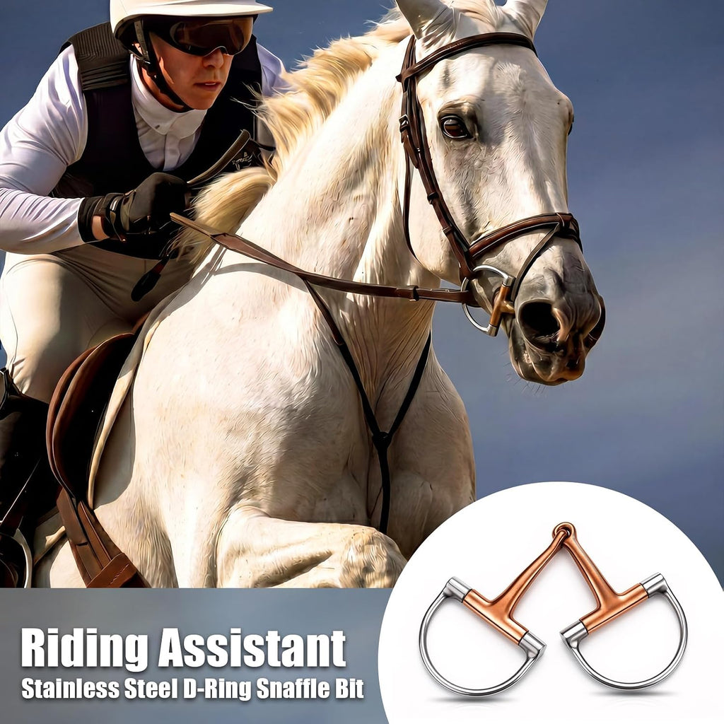 Stainless Steel Ring O & d Snaffle Bit for Horses