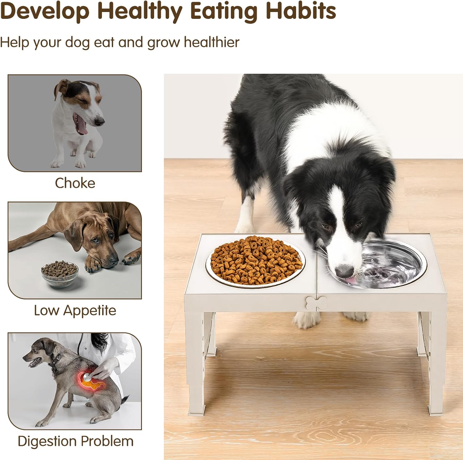 Elevated Dog Bowls Large Breed Raised Dogs Bowl Stand Large/Medium Sized Dog Stainless Steel Food Water Bowl Stands 5