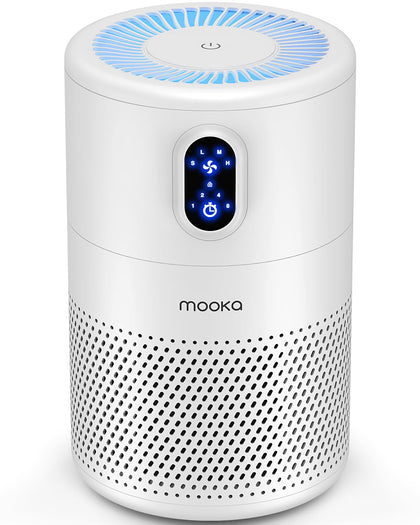 Air Purifiers for Home Room up to 1076ft², True HEPA Filter, B-D02L