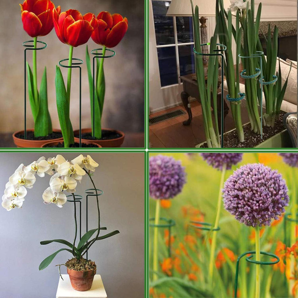 Plant Stake Support - 6 Pack, Garden Single Stem Support Stake Plant Cage Support Rings, Single Stem Plant Support