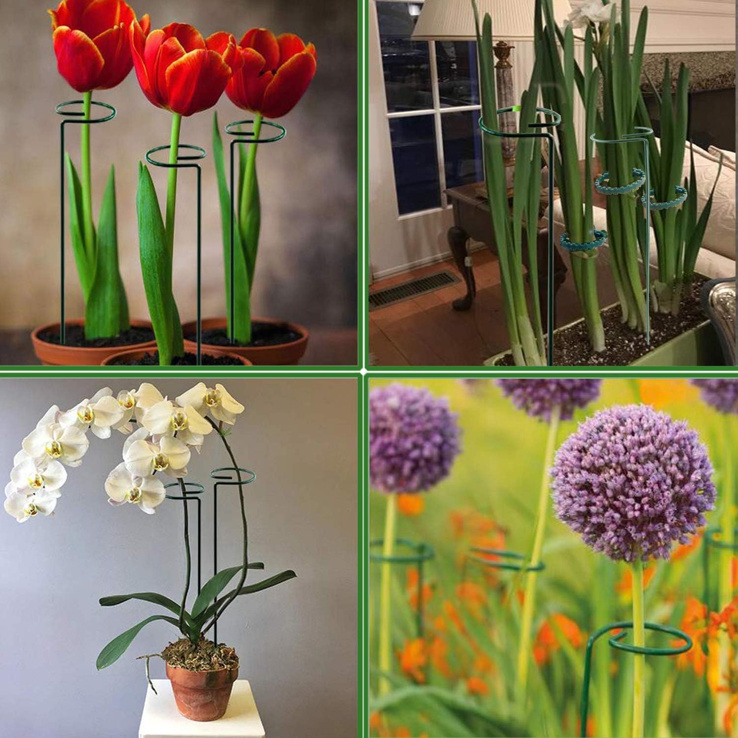 Plant Stake Support - 6 Pack, Garden Single Stem Support Stake Plant Cage Support Rings, Single Stem Plant Support