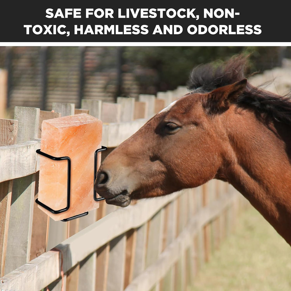 4 Pack 4lb Salt Block Holders for Deer Horses Goat, Black
