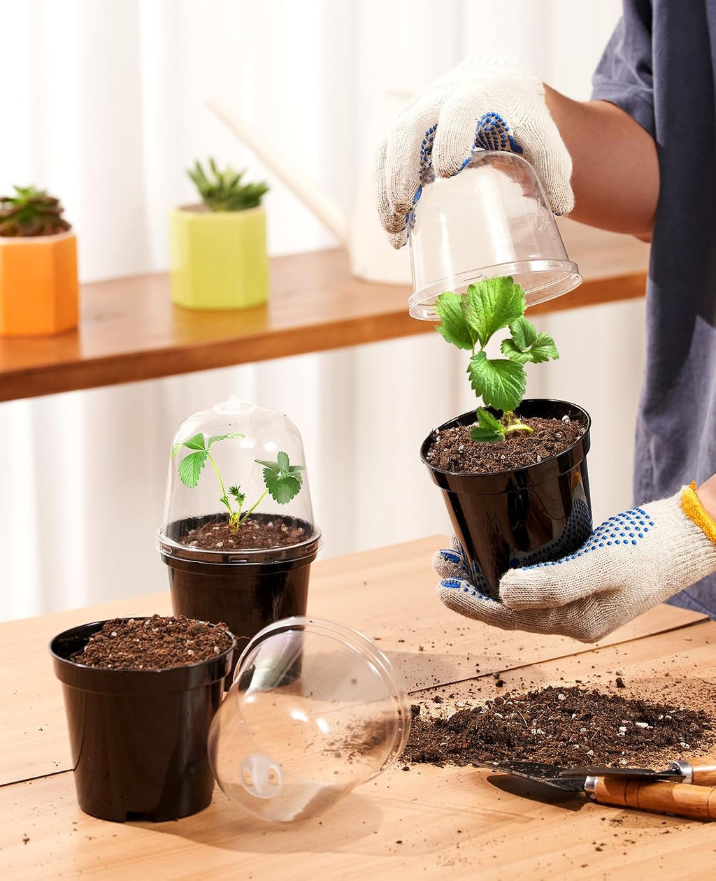 3 Inch Nursery Pots with Humidity Domes for Seed Starting (30 Pcs) | Raised bases improve airflow and drainage, while