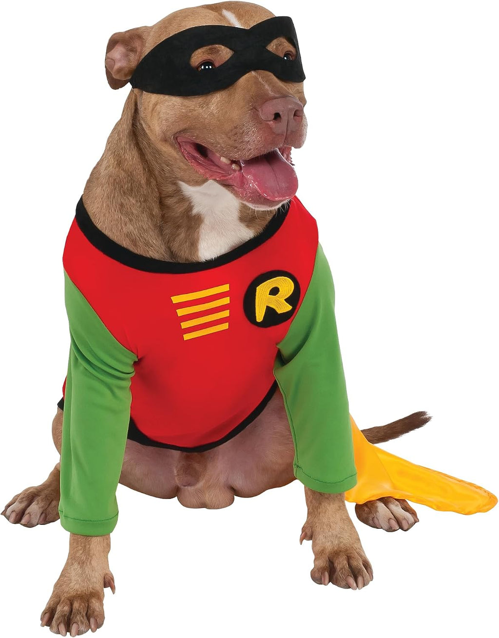 DC Teen Titans: Robin Pet Costume for Dogs or Cats, Medium