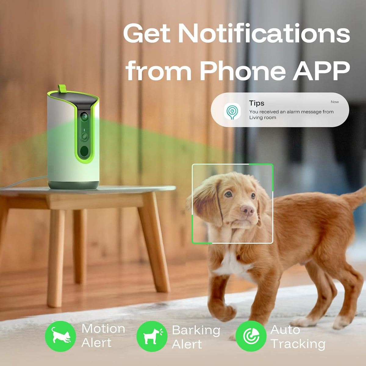 5MP Ultra HD Pet Camera - Dog Camera with Treat Dispenser, Remote Treat Tossing via Phone App, 360° Auto Tracking &