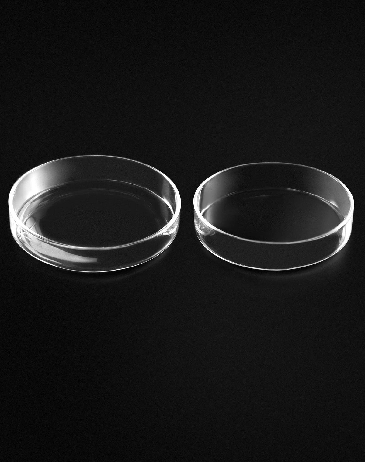 Glass Petri Dishes with Lid, Thicken, 120mm x 26mm, 5 Pack