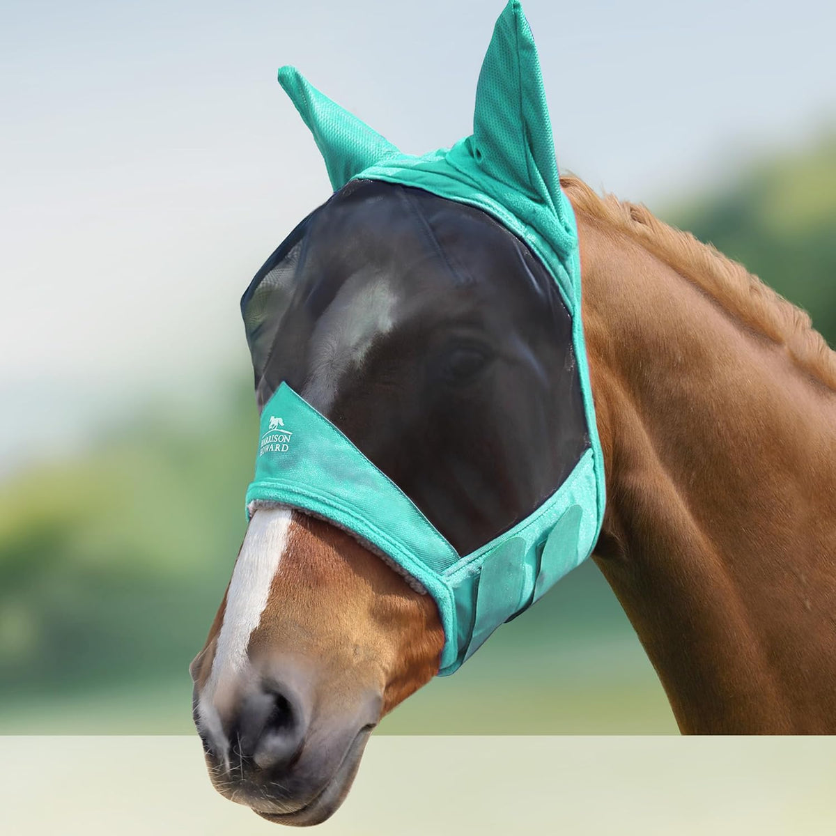CareMaster Pro Luminous Horse Fly Mask Large Eye Space Standard with Ears UV Protection for Horse Summer Mint Full Size