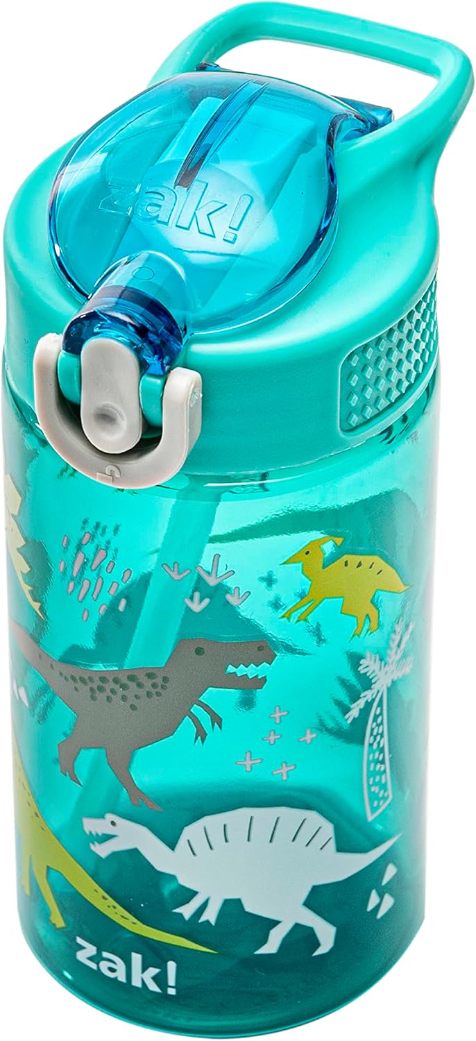 Dinosaur 16oz Leak-Proof Straw Kids Water Bottle, Plastic