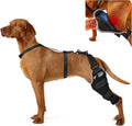 Dog Knee Brace XL, Hind Leg Support with Hot & Cold Gel Pack