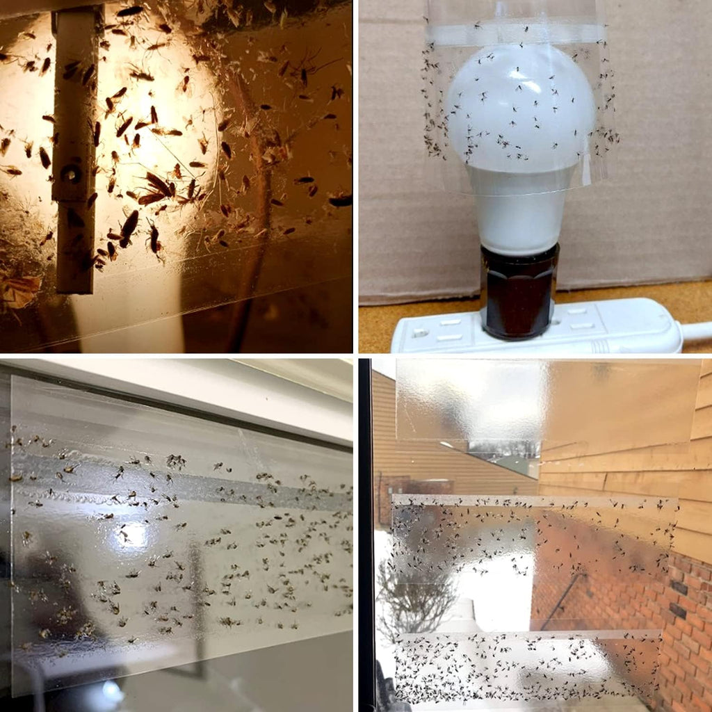 50 Window Fly Traps Indoor Fruit Fly Traps for Indoors | Window Fly Traps Sticky Paper Indoor Fruit Fly Gnat Trap Fly