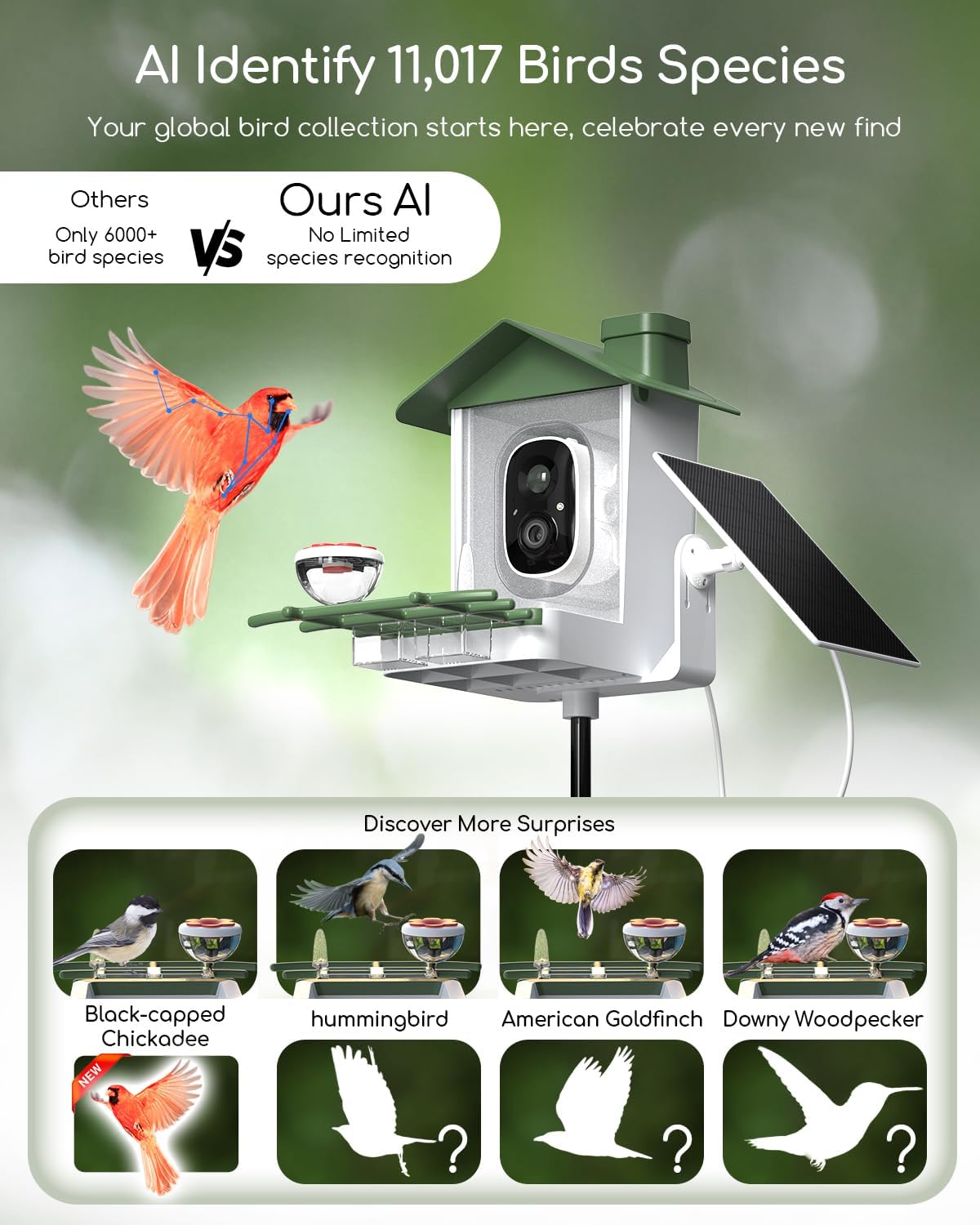 5MP Smart Bird Feeder with Camera, 30% Faster Solar Charging