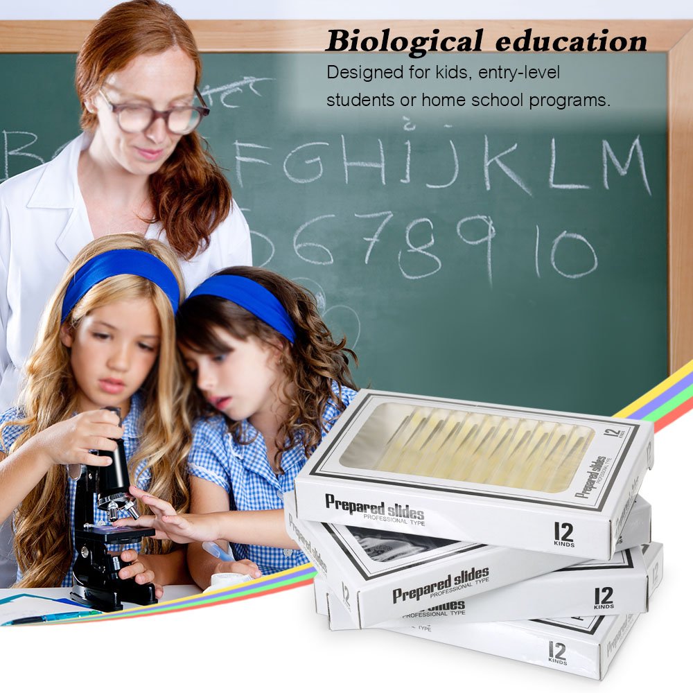 Prepared Plastic Microscope Slides with Specimens for Kids, Microscope Sample Slides Full Range of