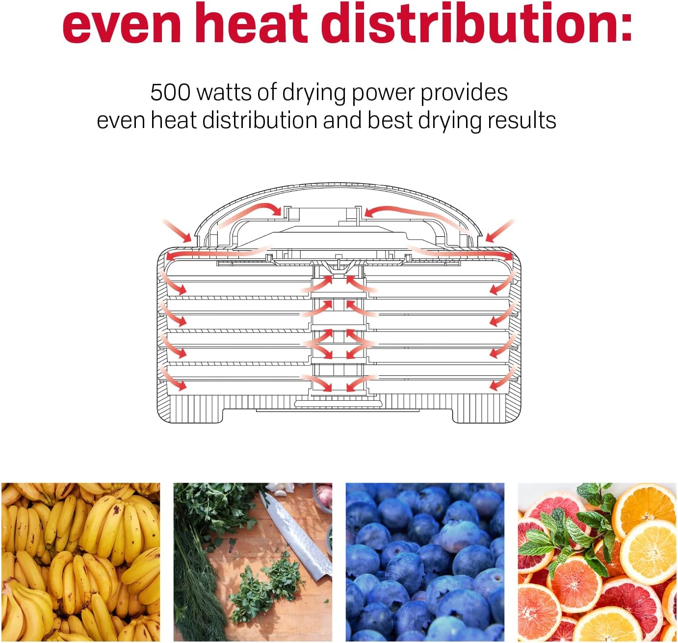 FD-60 Snackmaster Express Food Dehydrator for Great Jerky and Snacks, 4 Trays, 13.5" X 9.75", white and grey