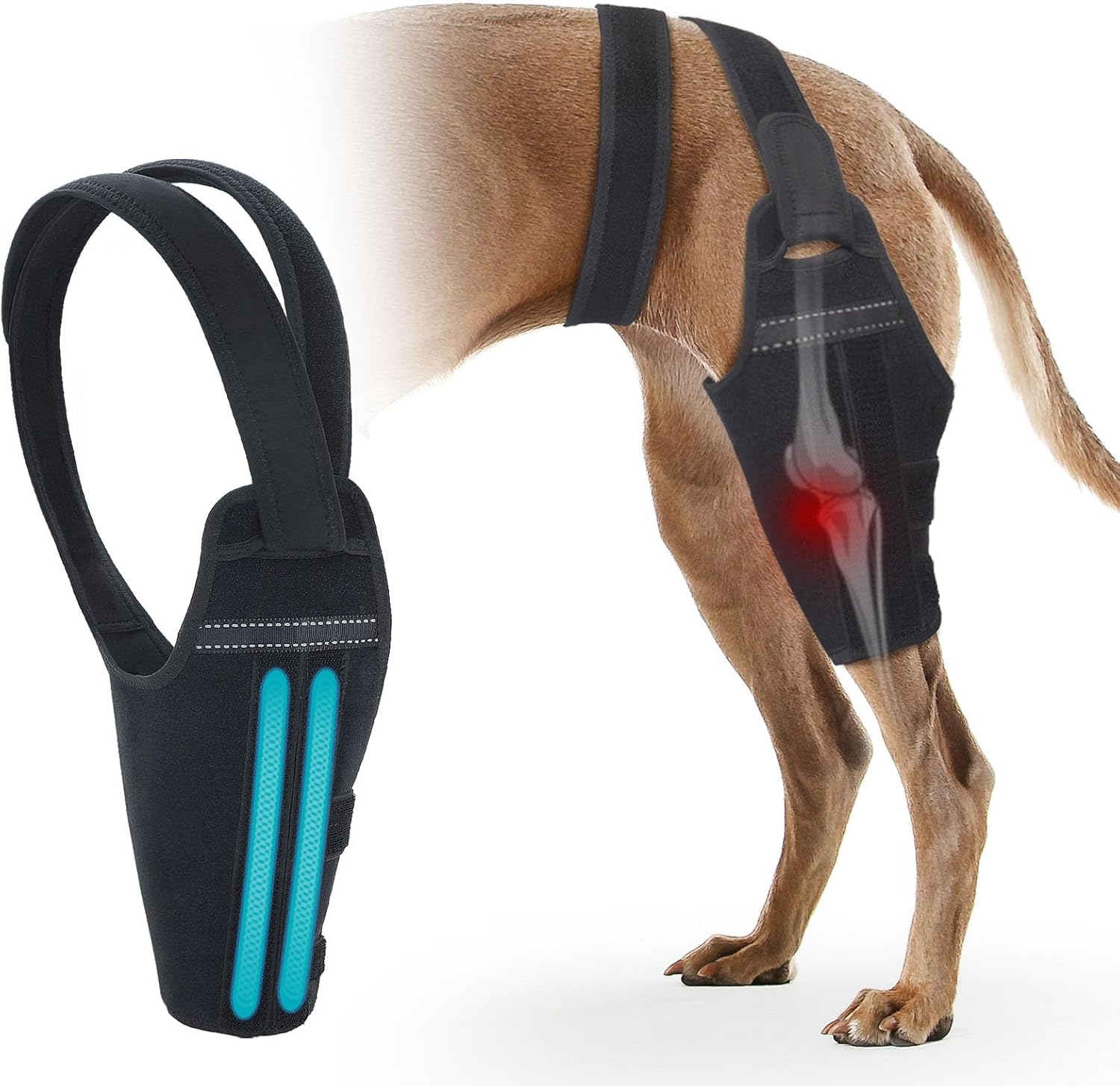 Dog Knee Brace for Torn ACL Hind Leg – Support Dog Leg Brace for Back Leg with 2 Stabilizers, Adjustable Hip Support