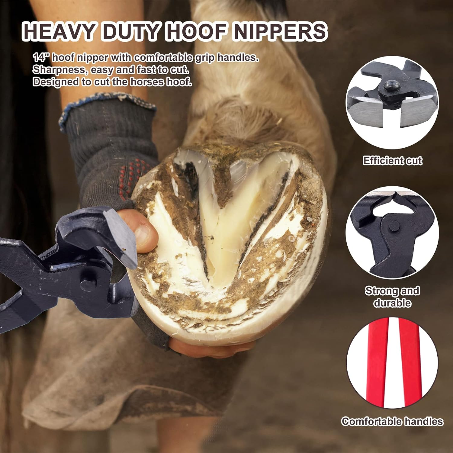 14 inch Horse Farrier Tool Kits - 6Pcs Professional Hoof Trimming Farrier Tools, Can Easily Trim the Hooves of