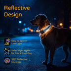 Dog Collar with AirTag Holder IP68 Waterproof Reflective Dog Collar, Blue M