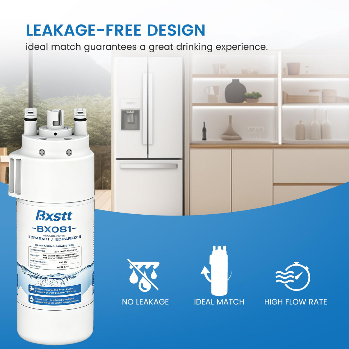 EDRARXD1 Water Filter Replacement for Everydrop A 2 Packs