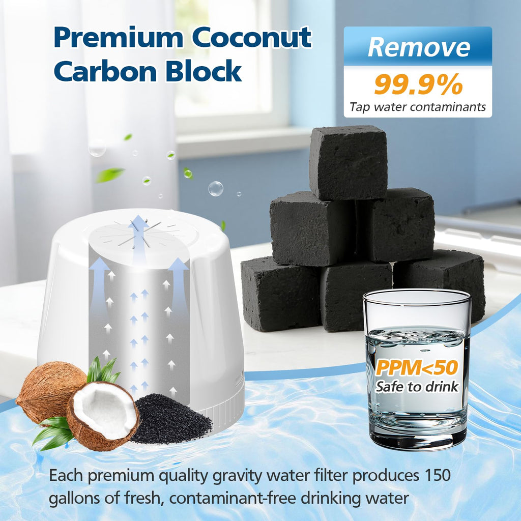 2 Pack Replacement Filter for Epic Water Filter Pitcher (Pure) and Aquagear
