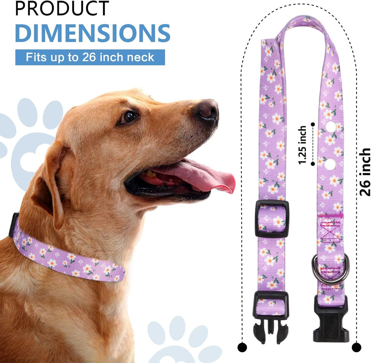 3/4 Inch Replacement Collar Strap Shock Collar with 2 Holes, Compatible with Nearly All Brands and Models of