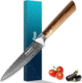 5-Inch Paring Knife - Japanese VG-10 Super Steel 67-Layer Damascus Blade - Fruit Utility Knife for Carving & Peeling