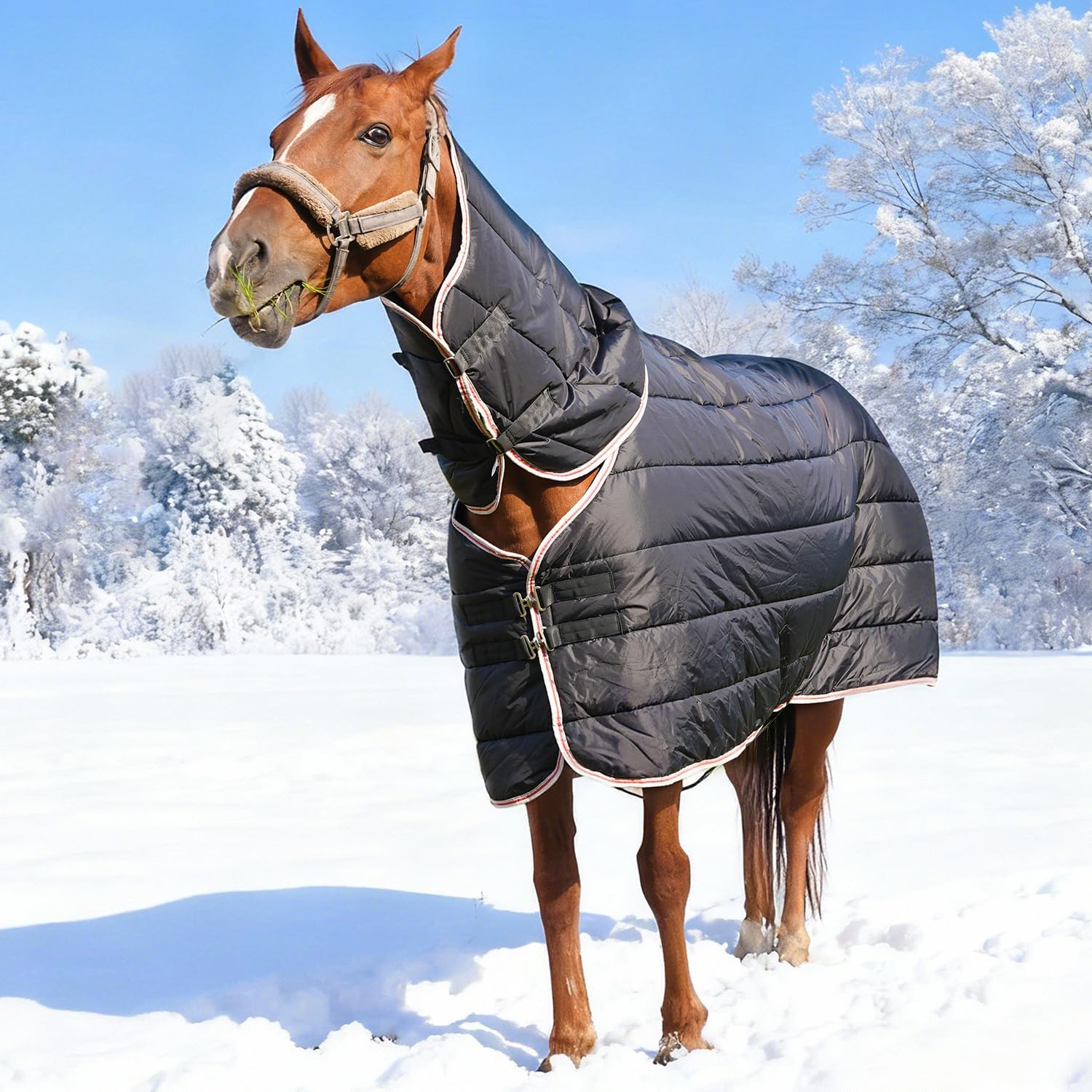 Horse Rug Fly Sheet Waterproof Rainproof Mosquito Repellent Warm Breathable Turnout Blanket for Horses Winter Use