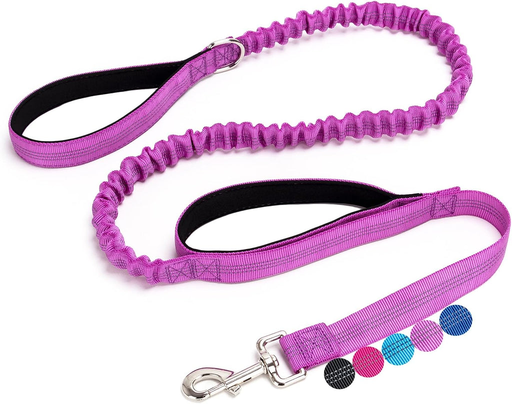 5FT Bungee Dog Leash with 2 Handles, Reflective Nylon Traffic Leash