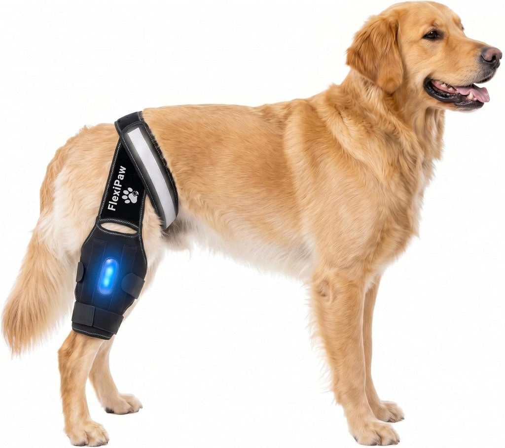 Dog Knee Brace for Torn ACL and CCL, Rear Hind Leg Brace for Dogs, Back Leg Support for Cruciate Ligament Tears, Cold