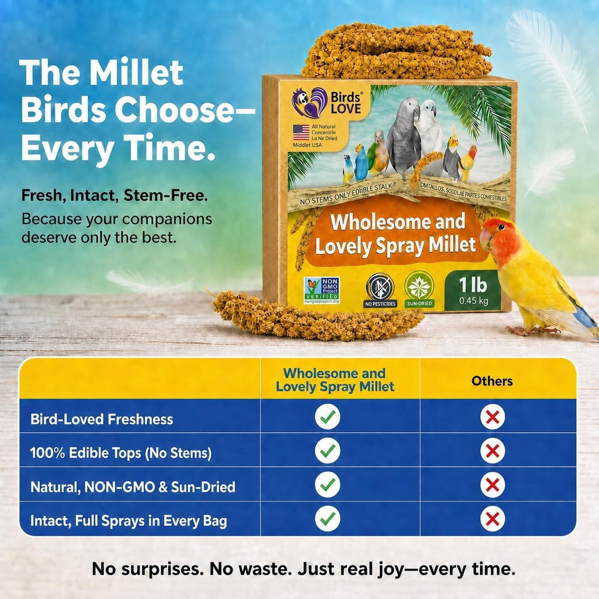 1 LB Wholesome Spray Millet for Birds – USA Grown, Non-GMO,Natural Sun-Dried Millet Sprays – Thick Seed-Rich Clusters