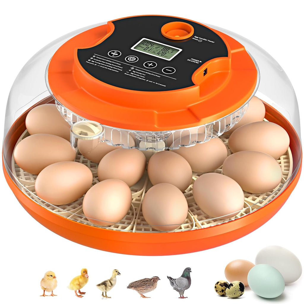 Egg Incubators for Hatching Eggs, 18 Egg Incubator with Automatic Egg Turning and Humidity Control Incubator for