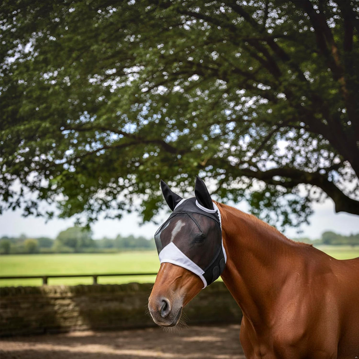 Fly Mask with Ears for Horses Soft Stretchy Mesh Horse Face Cover