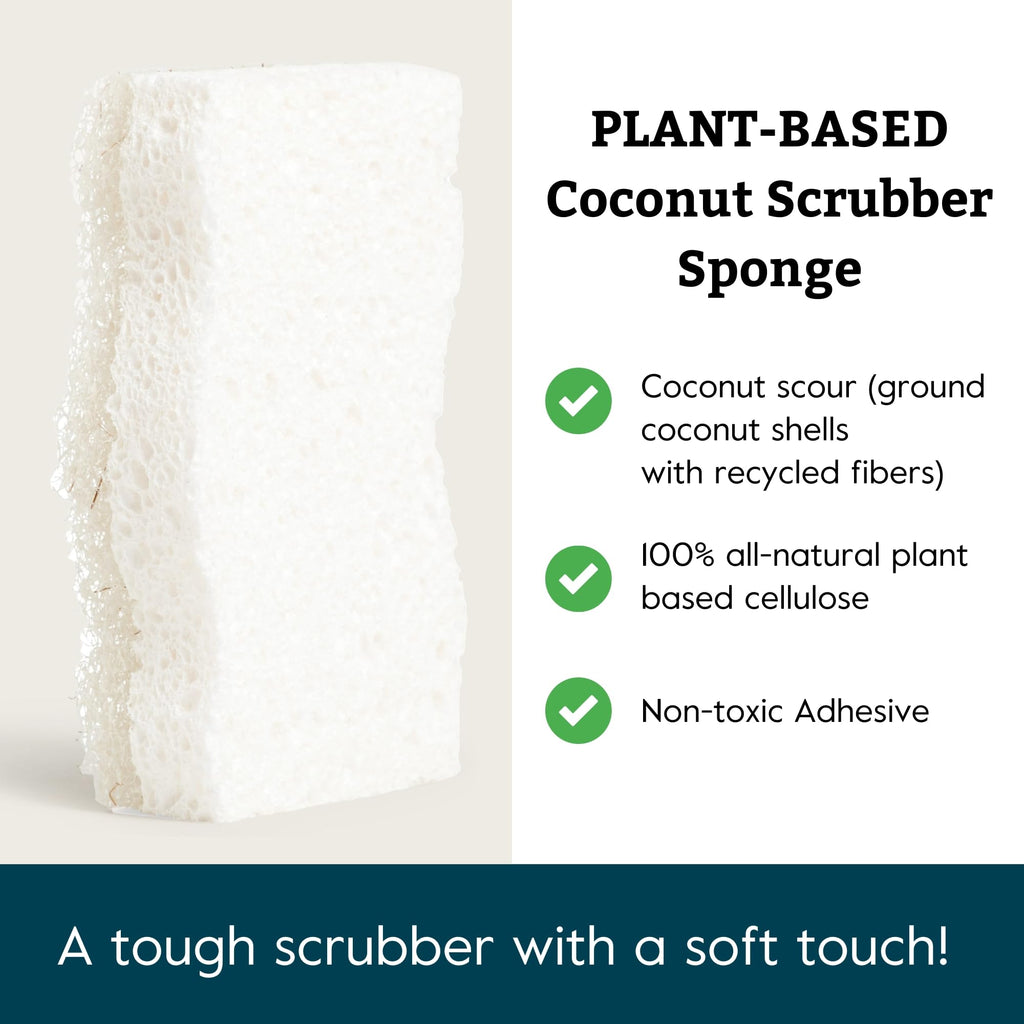 Coconut Scrubber Sponges, 6 Count, Dual Sided, Non-Scratch