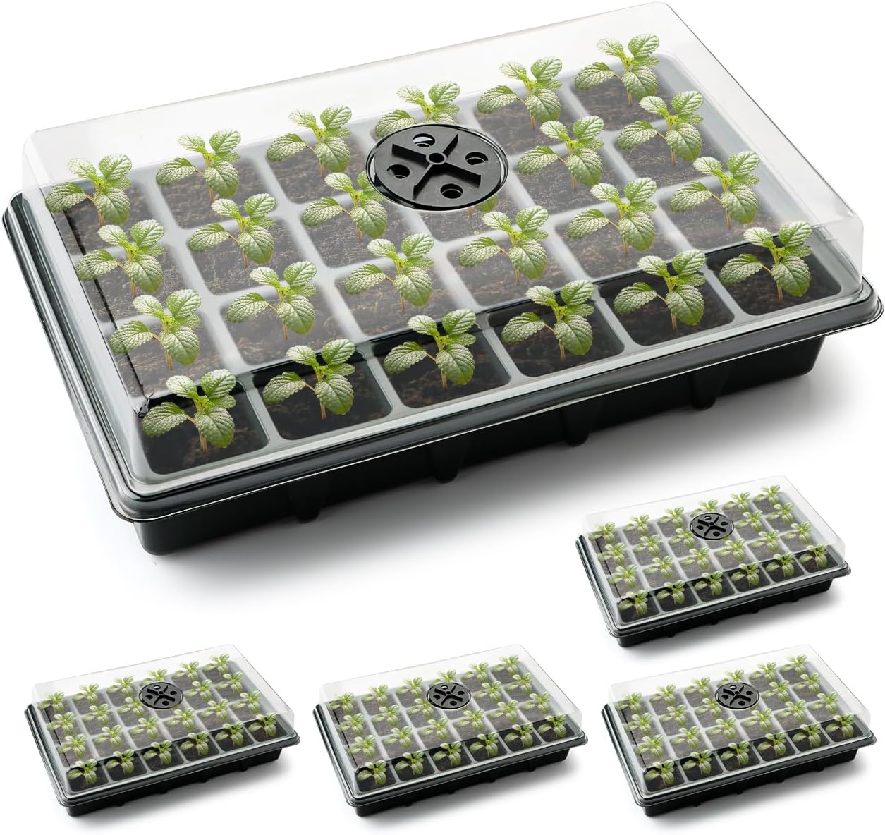 5-Pack Seed Starter Trays with Humidity Dome & Large 24-Cell Plug Trays | XL Cells Plant Germination Tray with Vented