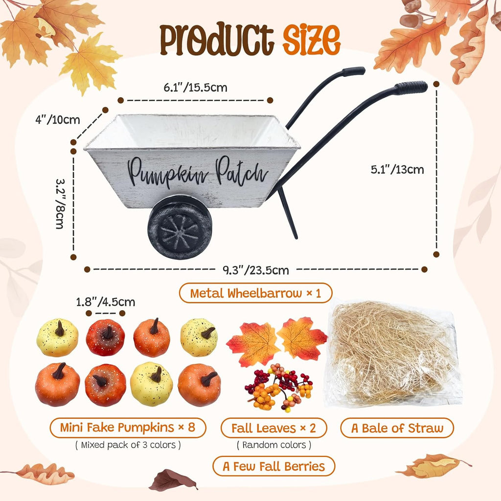 Fall Thanksgiving Centerpieces for Tables Metal Wheelbarrow White | Include Pumpkins Berries Fall Leaves