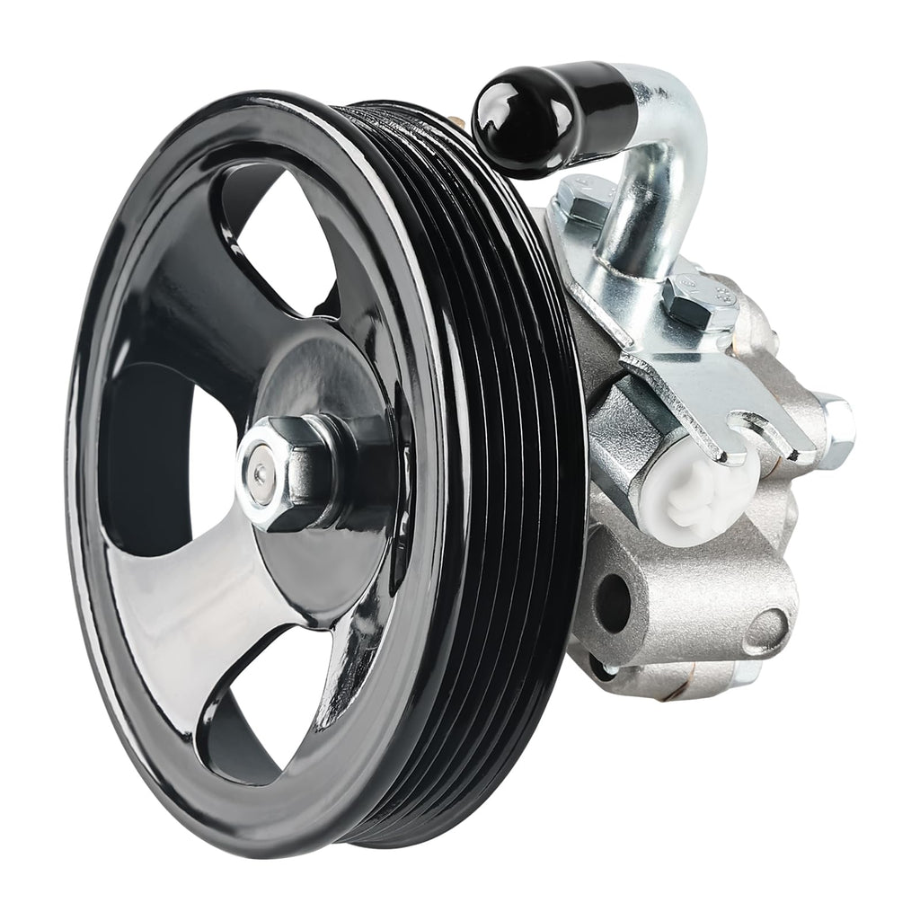Power Steering Pump with Pulley Compatible with Hyundai Tucson 2005-2009