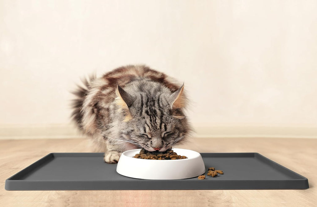 Cat Bowls, Whisker Friendly Food Bowl for Indoor Cats, Reliefs Whisker Fatigue, Wide Kitten Dish, Non Slip Pet