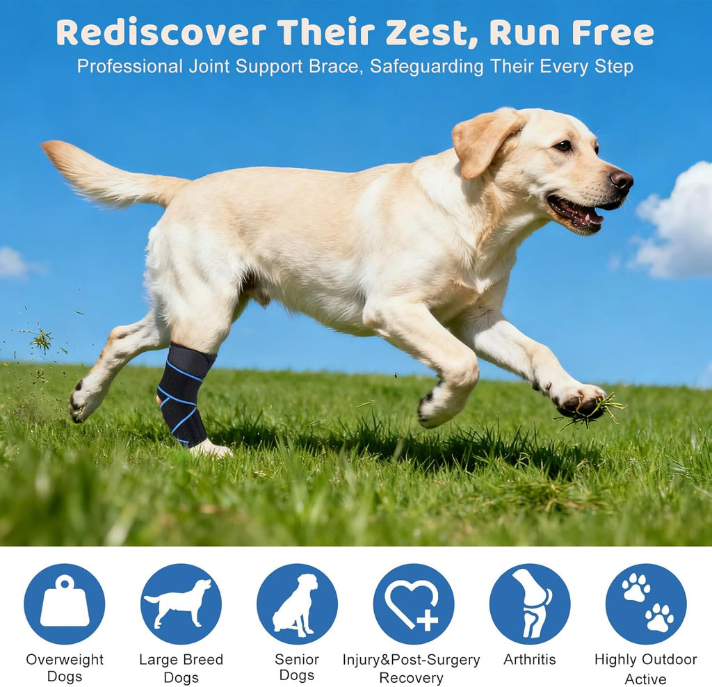 Dog Knee Brace for Back Leg Support, Hock Joint Compression Wrap ACL Brace for Hind Legs – Stabilizing Rear Leg
